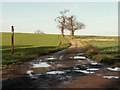 Footpath, viewed from Tye Lane