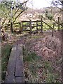 Walkway through marshy ground, near Appleslade, New Forest