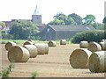 Great Wakering farm