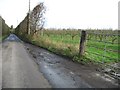 Orchards and view along Santon Lane.