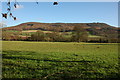 SO3847 : View to the east from Norton Canon by Philip Halling