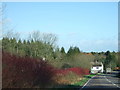 A 352 showing first house in Lyons Gate with dogwood on roadside