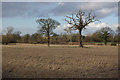 Farmland near Duke End