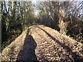 Kingsland Lane, Leavenheath, Suffolk