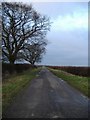 Very straight road to Marsh Gibbon