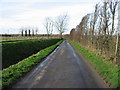 Looking NW along Overland Lane from Overland Farm.