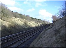 ST8883 : Railway cutting near Hullavington by Roger Cornfoot