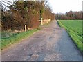 Looking E towards Nine Acre wood on farm track.