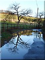 Flooding on Deans Bottom Road