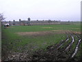 Chicken Sheds and Mud