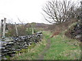 The path from the Fachwen road to Bro Eilian, Dinorwig