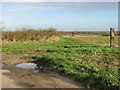 Orchard, farmland and bridleway to right.