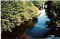 River Dart from The Abbey Hotel.