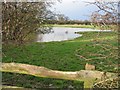 Pond near Hatton Hall