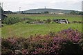 Western side of Hingston Down