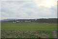 Golfing and farming in juxtaposition by Home Farm.