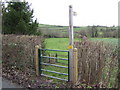 Footpath to the Digedi Brook