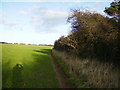 SE9086 : Field margin above Nettledale by Phil Catterall