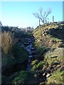 Brook coming from  Darwen Moor