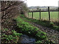 Stream and path near Sourton