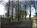 Driveway to The Knole