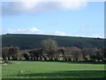 View from Whitesand Cross