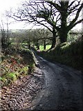 SX5187 : Farm road to Beara by Derek Harper