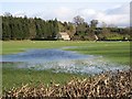 Watery Pasture