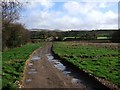 Track at Fernworthy