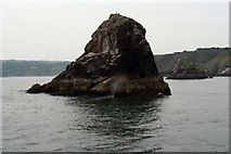 SX9455 : Cod Rock by Bob Shires
