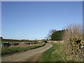 Witney Road by Lower Farm