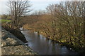 The River Bann near Rathfriland (2)