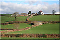 Bishop?s Nympton: towards Windwhistle Farm