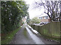 Drive behind houses on Ashurst Road