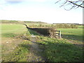 Across the fields to Worton Heath woods