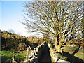 Footpath between Bwlch and Uwchlaw