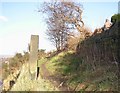 Footpath off Toothill Bank, Rastrick