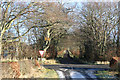 Auchmannoch Crofthead road end