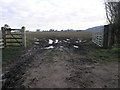 SJ6009 : Muddy Path to Aston by Michael Patterson