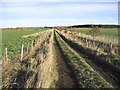 NU1529 : Farm track by Walter Baxter