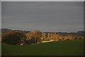 View toward Garston House bathed in afternoon sun