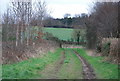 Track to Cock Road Farm