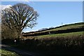 Hillside above the Road