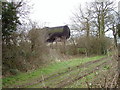 Unusual Water Tank near Binley