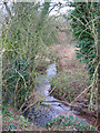 Brook near Bradley Brook