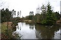 Wildfowl at Center Parcs