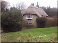 The Green and Thatched Cottage at Gutch Common