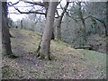 Footbridge over Nant-y-Fflint