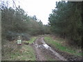 Entrance to Fermyn Wood/Laundimer Wood, Forestry Commission