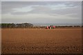 Seed drilling at Newlands